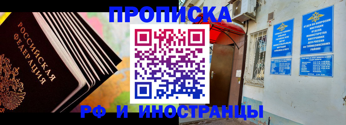 прописка штамп в Бородино